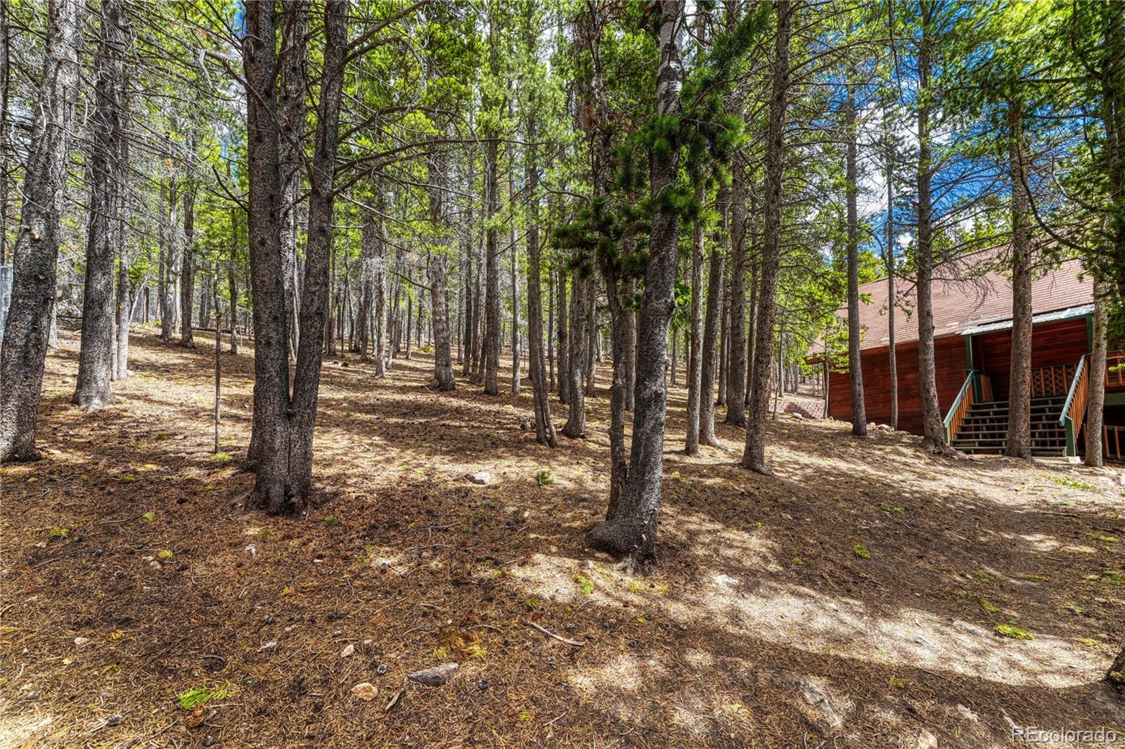 153 Nebraska Drive Idaho Springs CO 80452