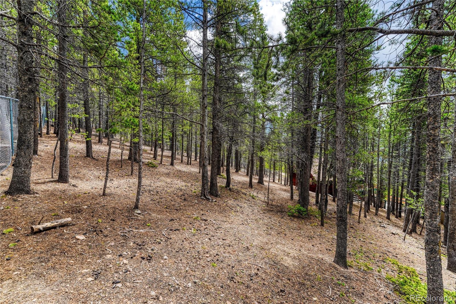 153 Nebraska Drive Idaho Springs CO 80452