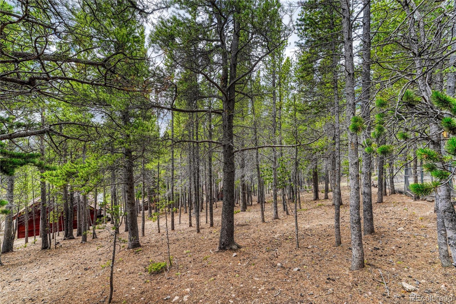 153 Nebraska Drive Idaho Springs CO 80452