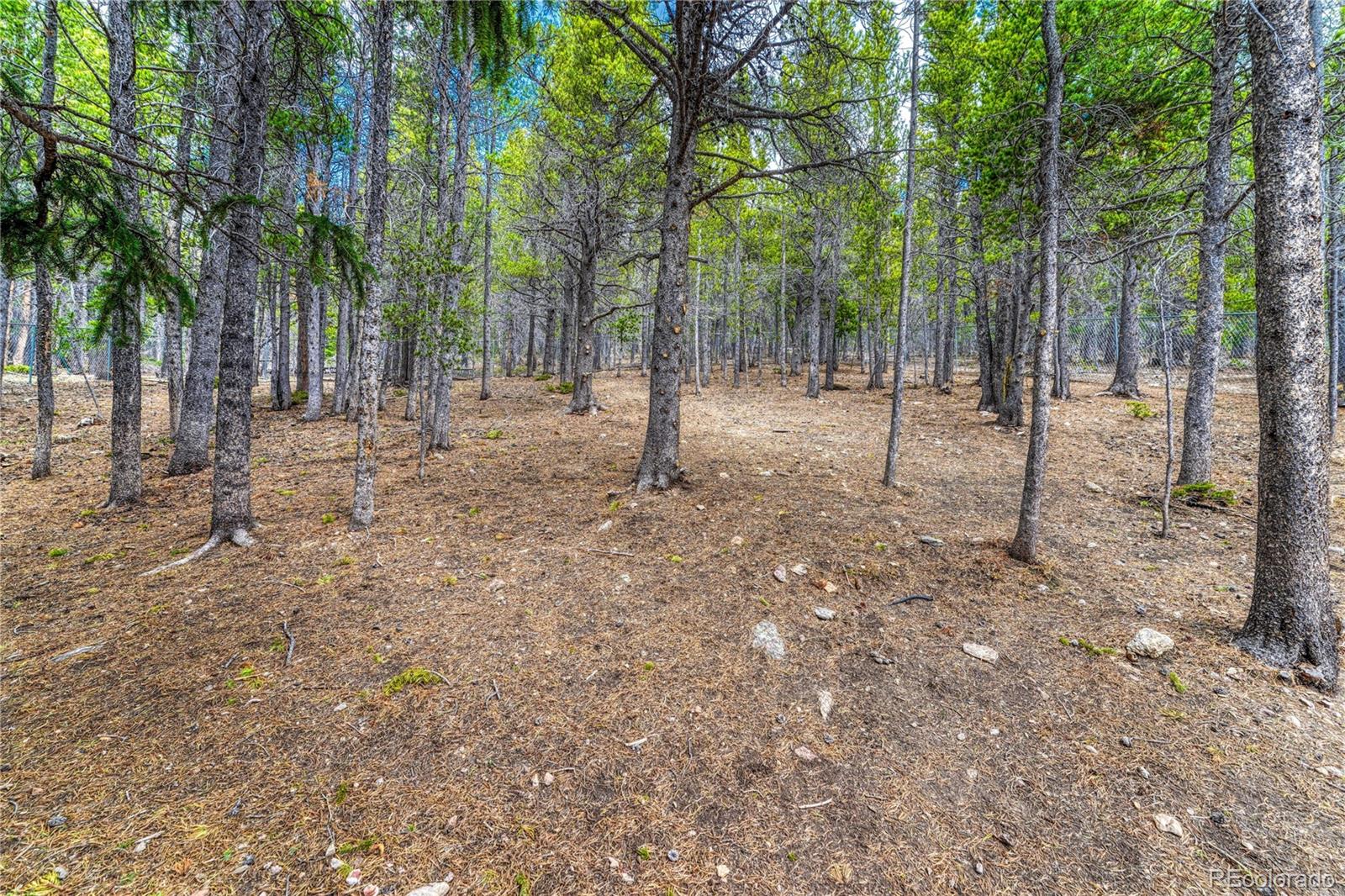 153 Nebraska Drive Idaho Springs CO 80452