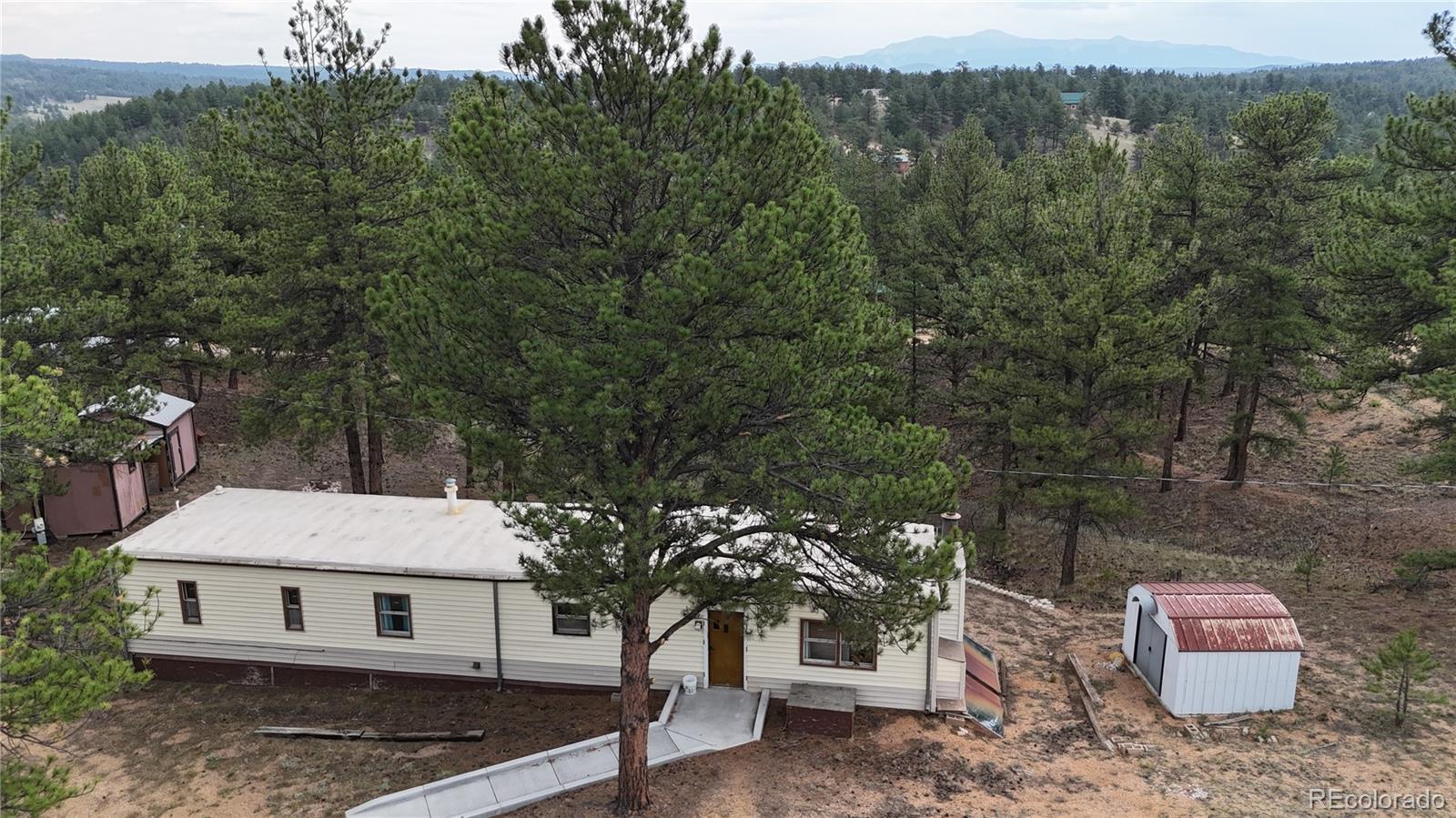 320 Forest Glen Trail Florissant CO 80816