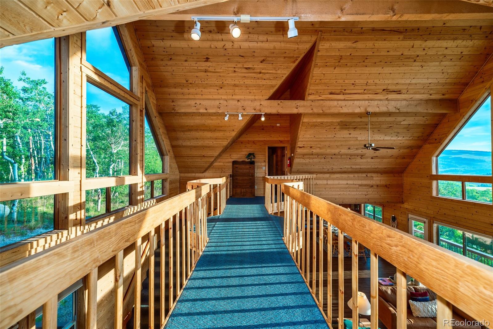 70 Sheep Creek Trail Fairplay CO 80440