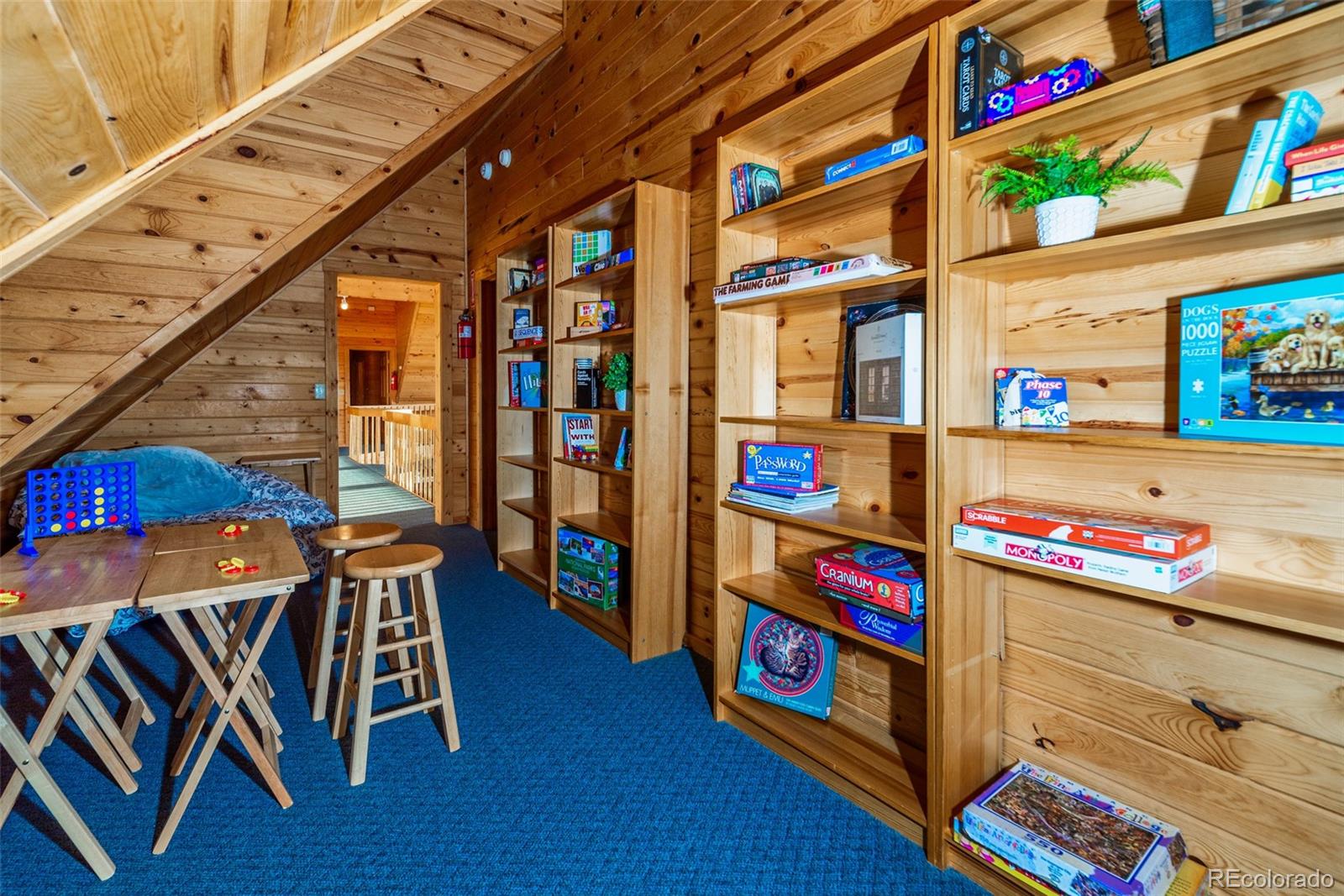 70 Sheep Creek Trail Fairplay CO 80440