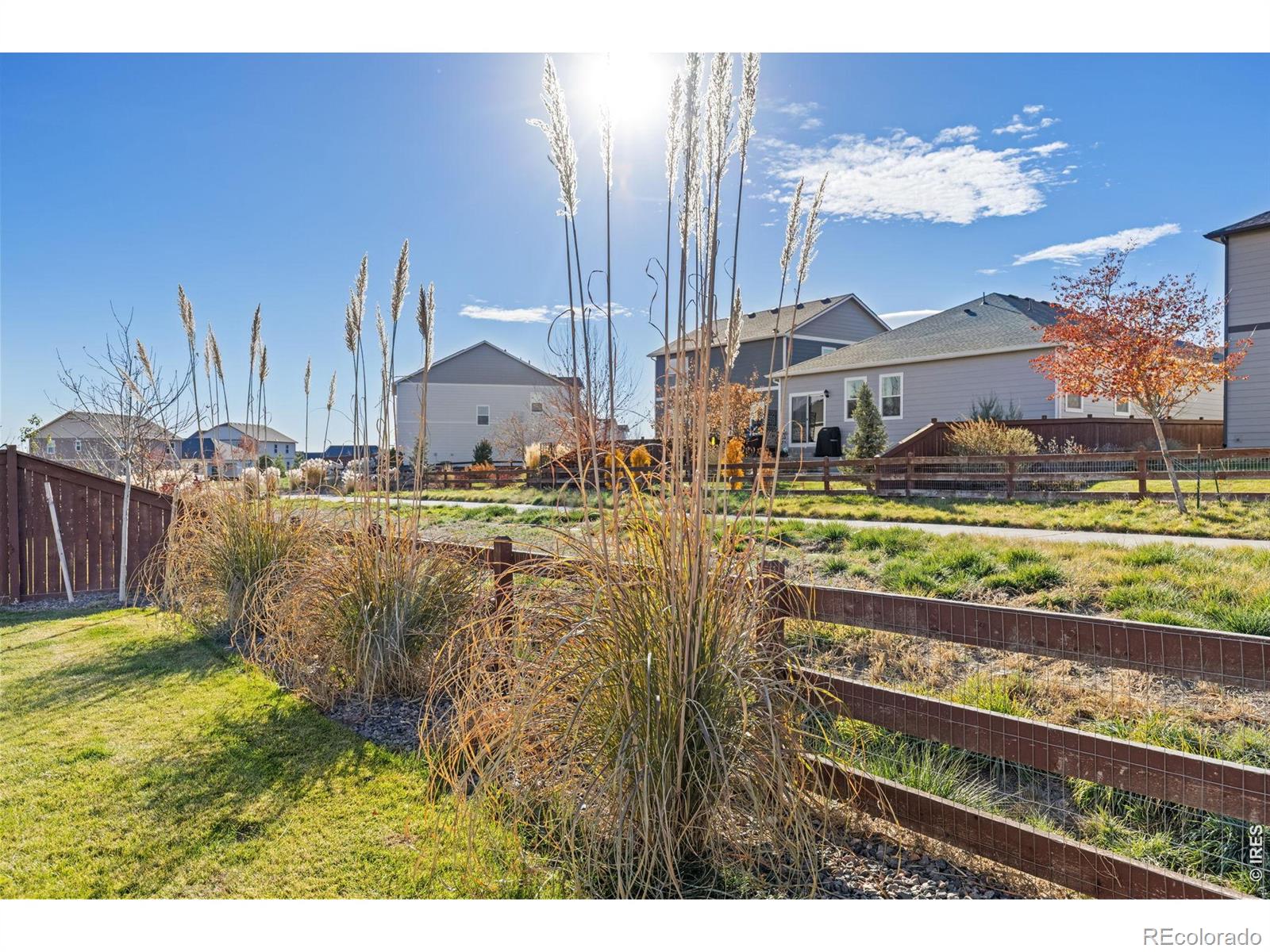 232 Swallow Road Johnstown CO 80534
