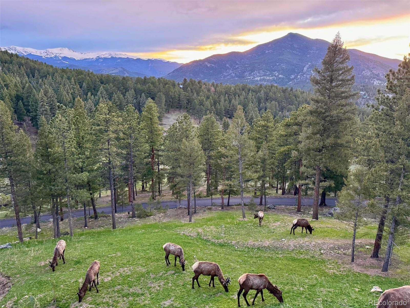 334 Red Lily Place Evergreen CO 80439