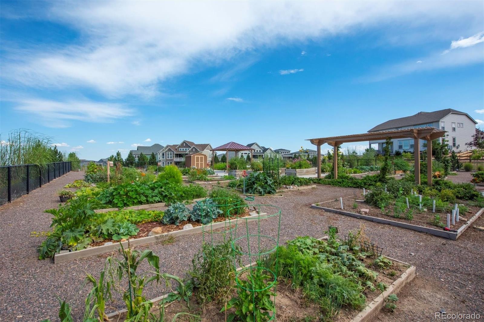 19056 W 94th Avenue Arvada CO 80007