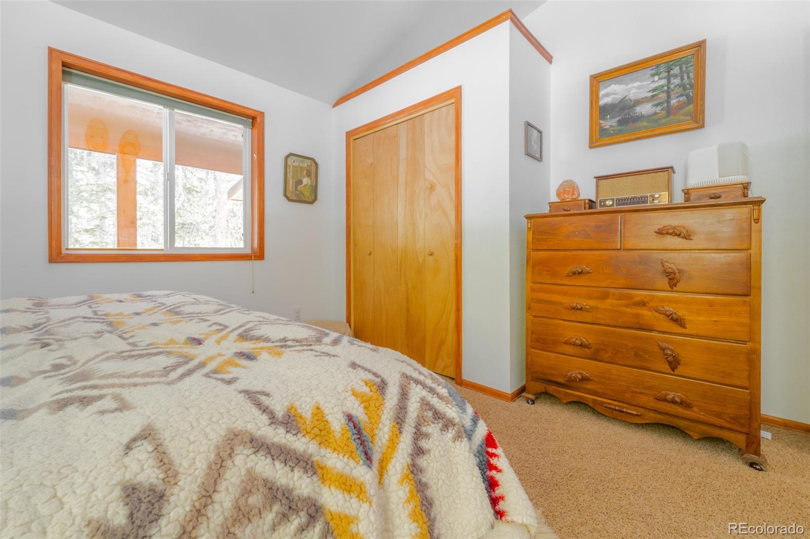 182 Rachaels Place Alma CO 80420