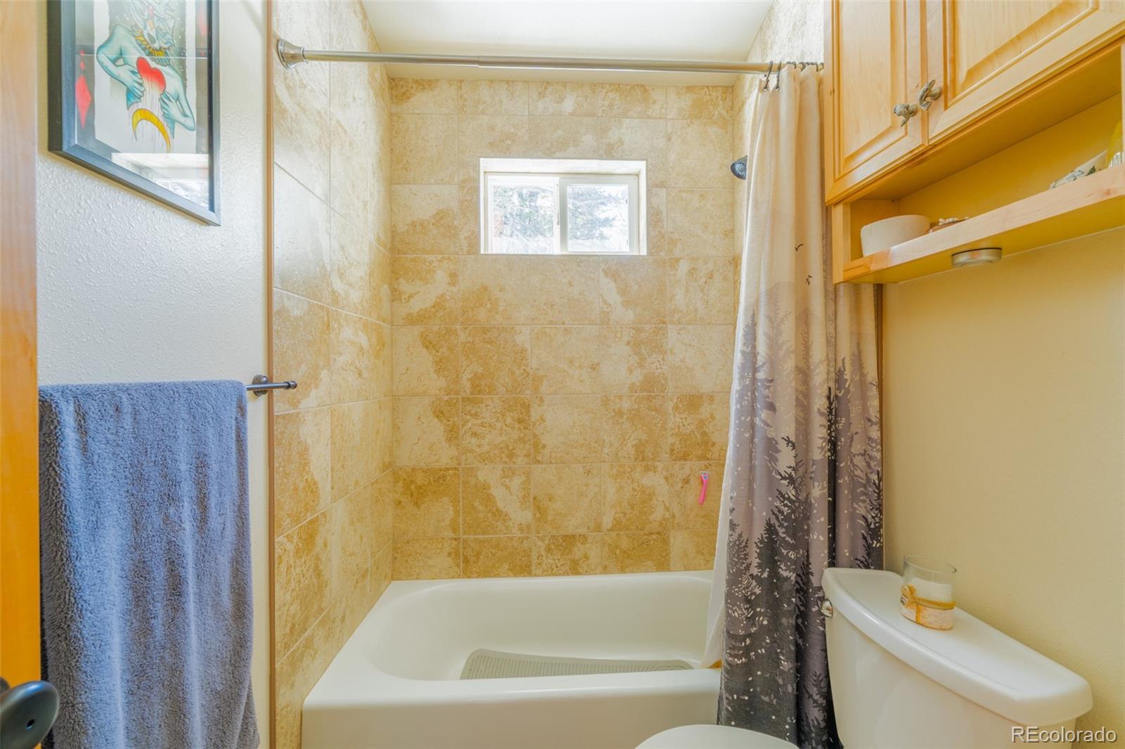 182 Rachaels Place Alma CO 80420