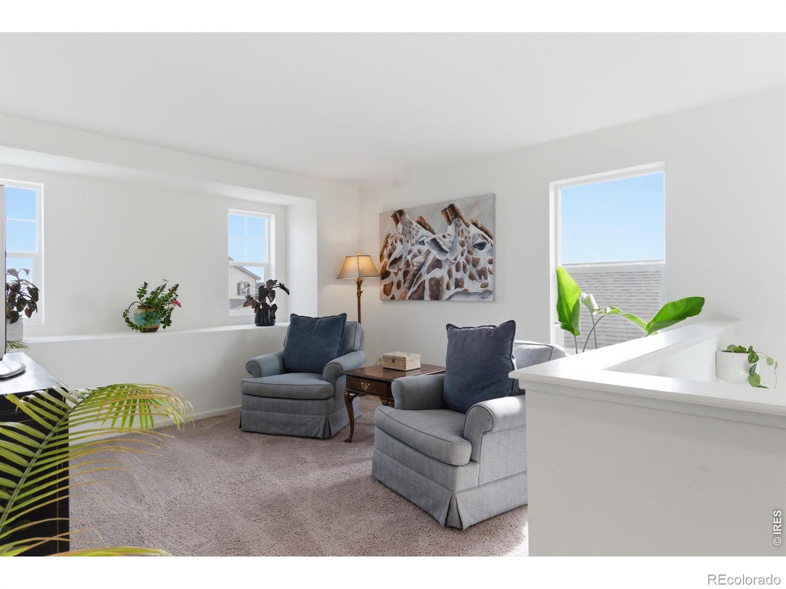 4104 Chasm Lake Drive Loveland CO 80538
