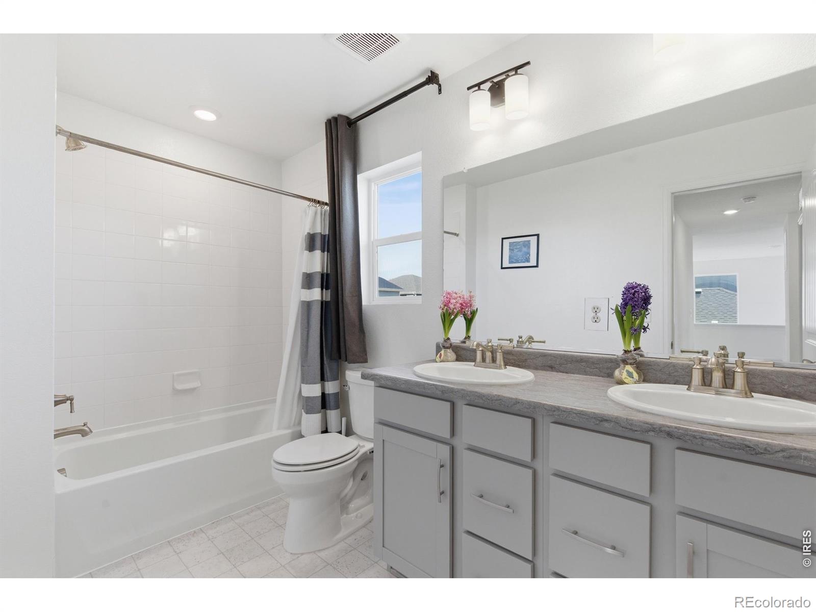 4104 Chasm Lake Drive Loveland CO 80538