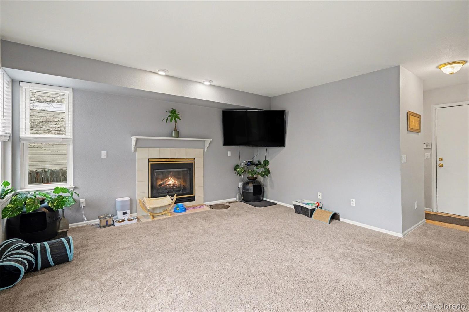 11349 Haswell Drive Parker CO 80134