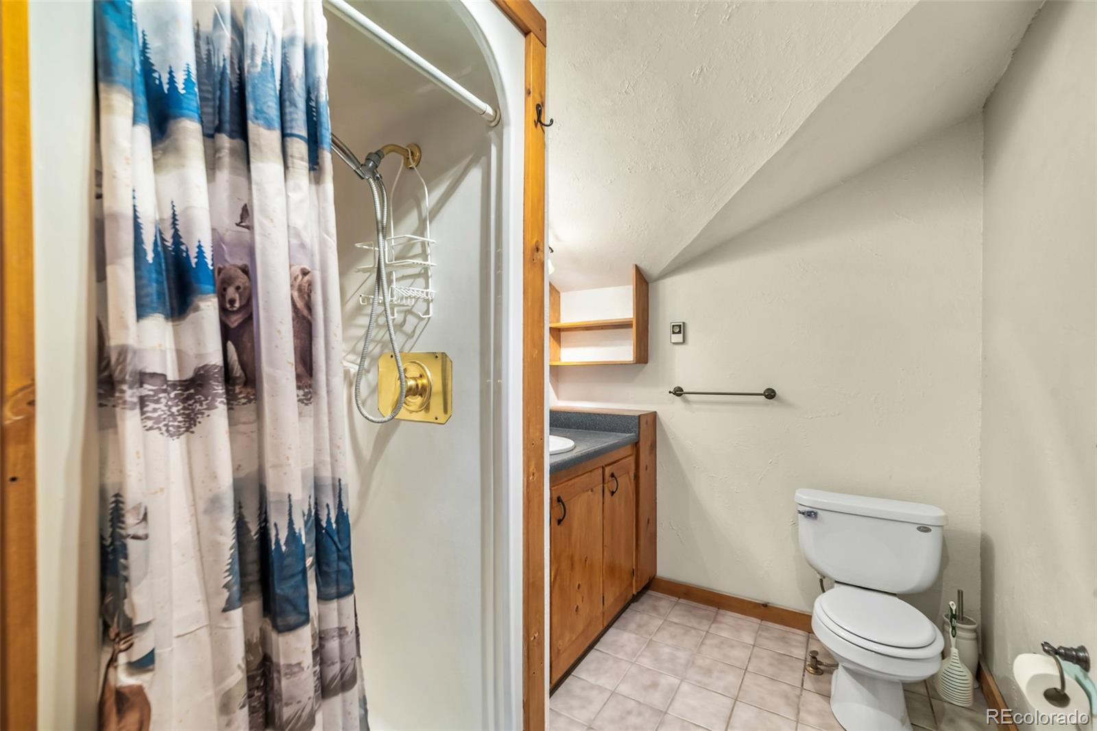 1305 Lakeside Drive Fairplay CO 80440