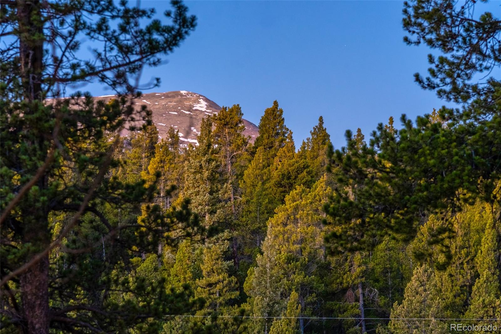 1305 Lakeside Drive Fairplay CO 80440