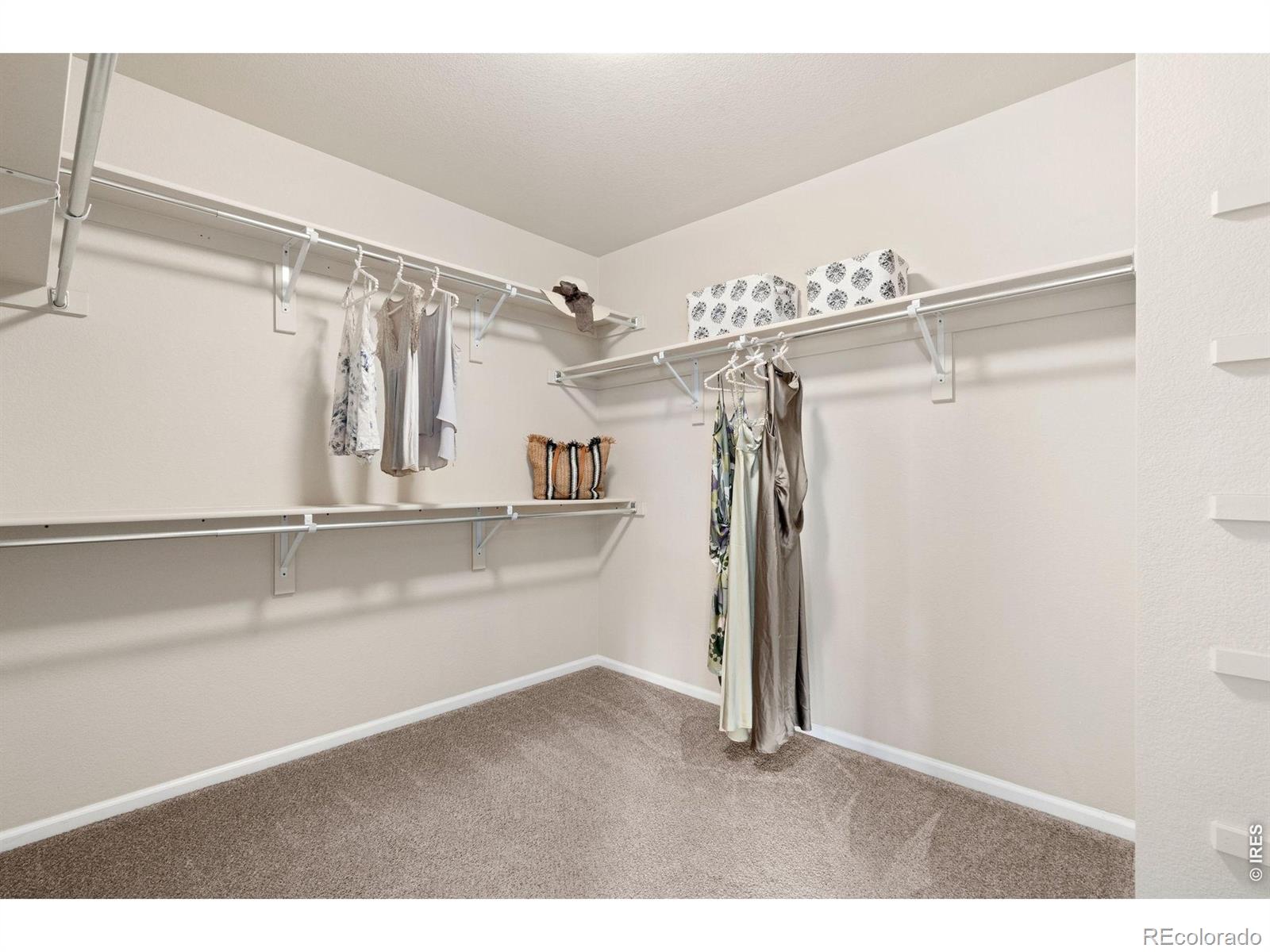 2270 Vermillion Creek Drive Loveland CO 80538