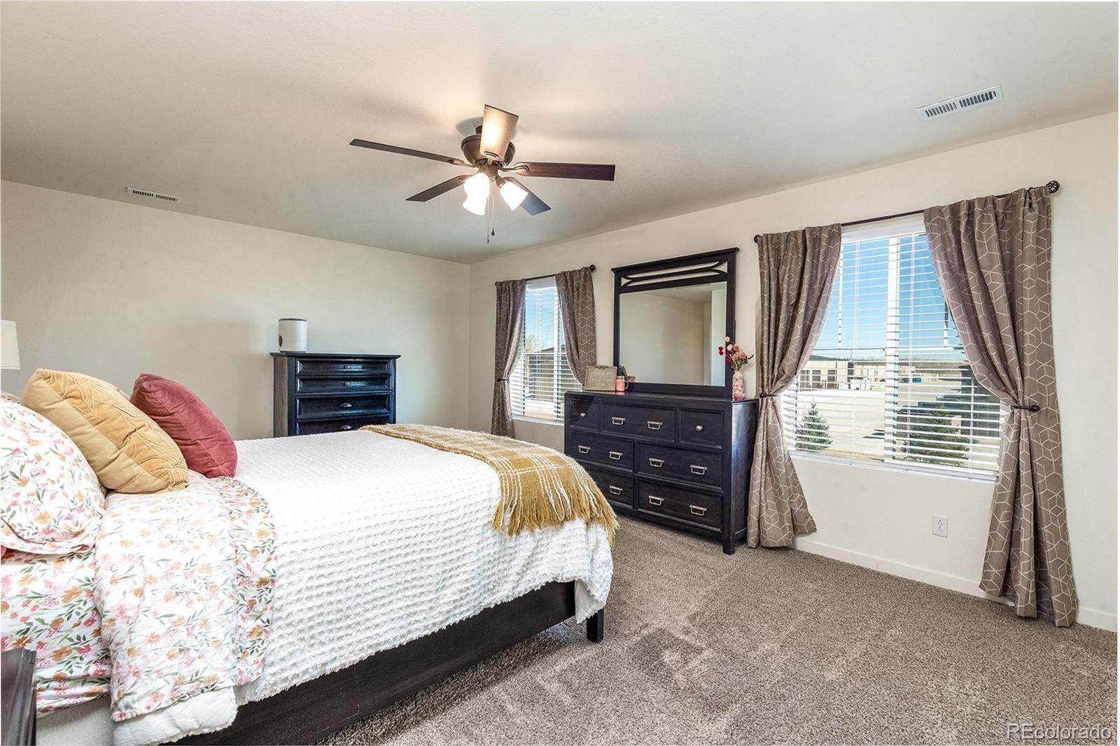 6563 Globeflower Street Wellington CO 80549