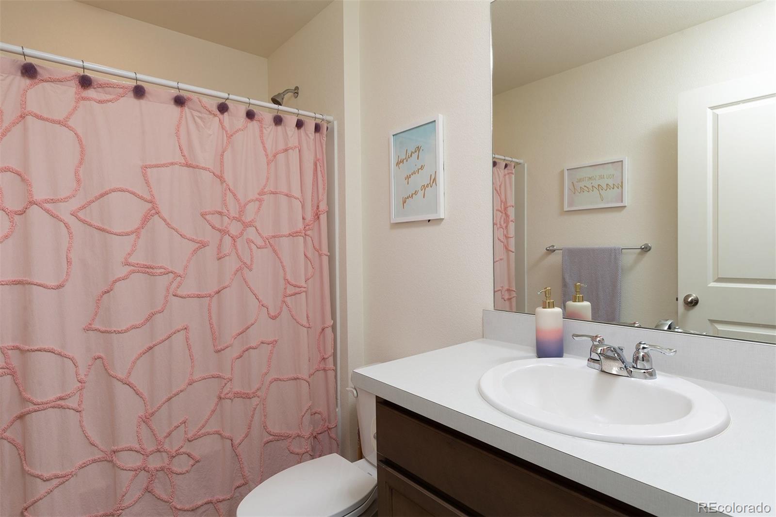 6563 Globeflower Street Wellington CO 80549