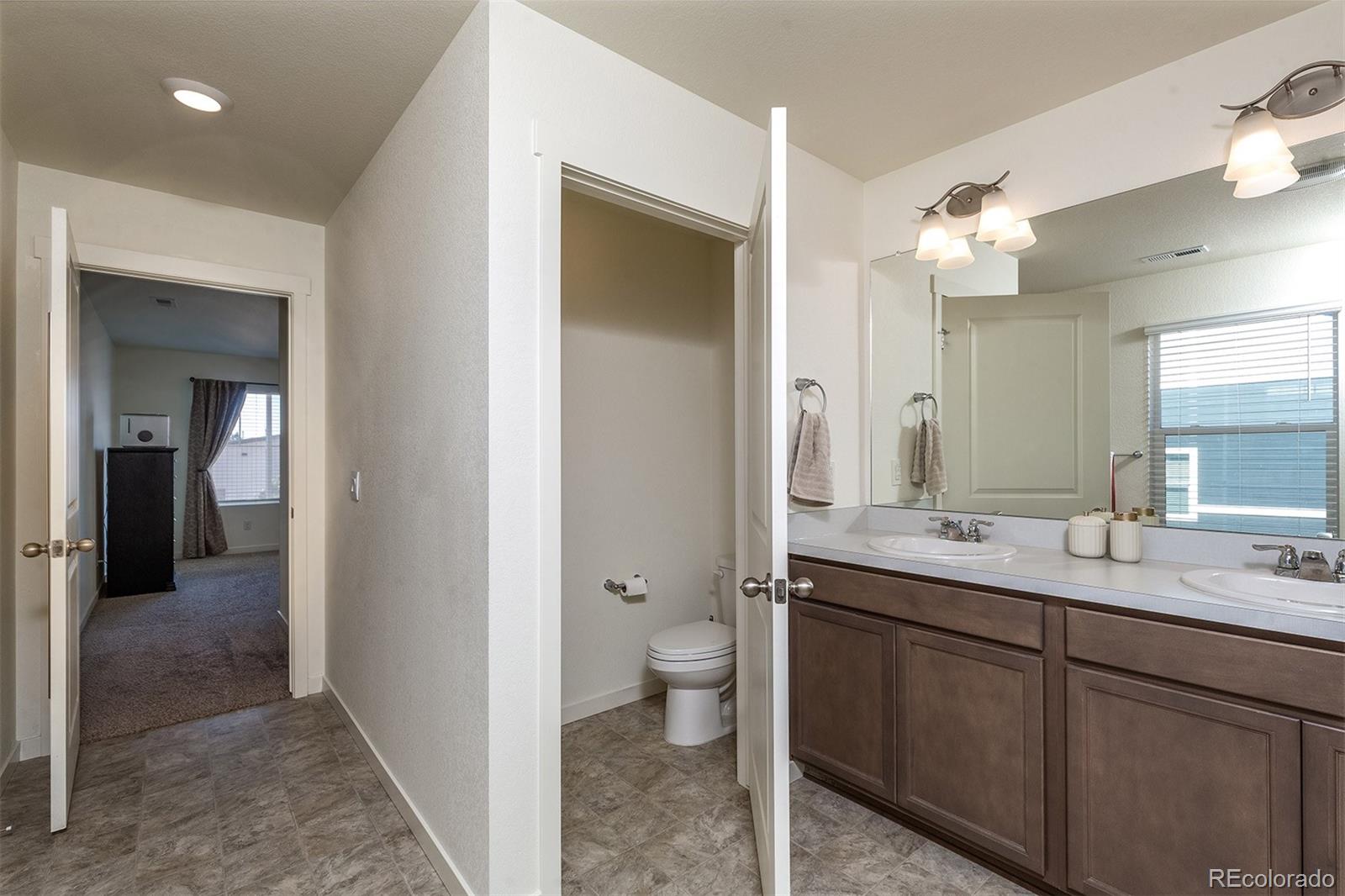 6563 Globeflower Street Wellington CO 80549
