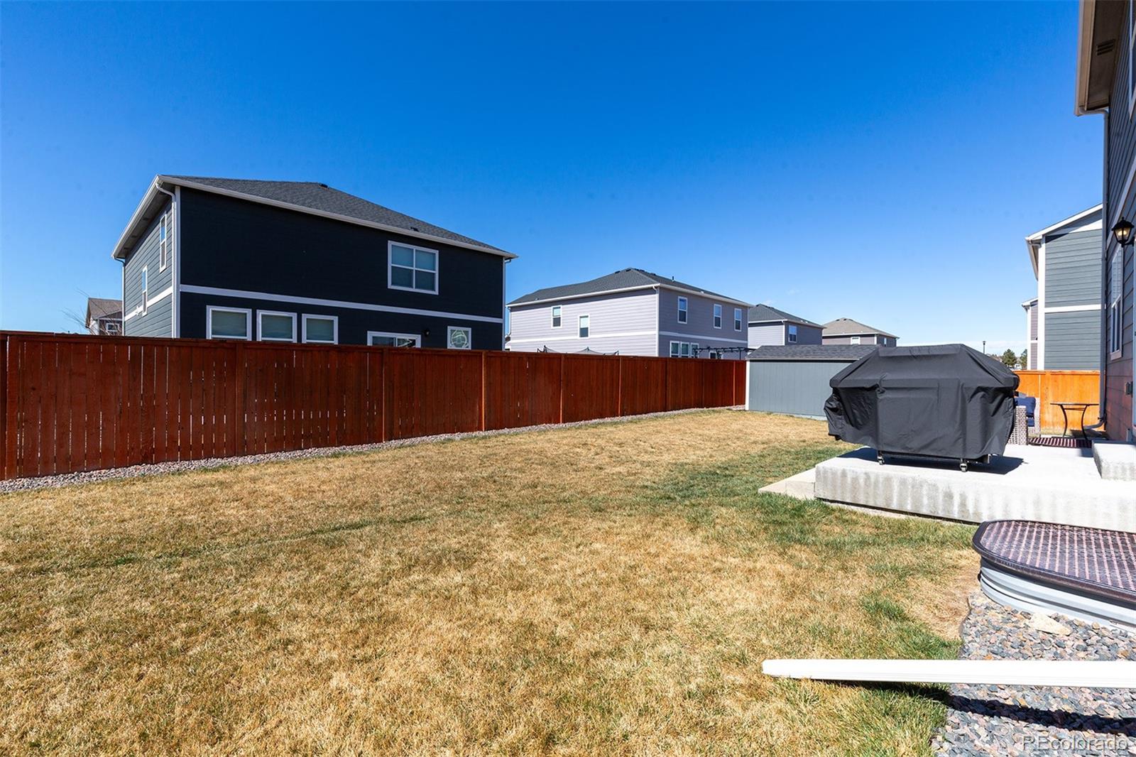 6563 Globeflower Street Wellington CO 80549