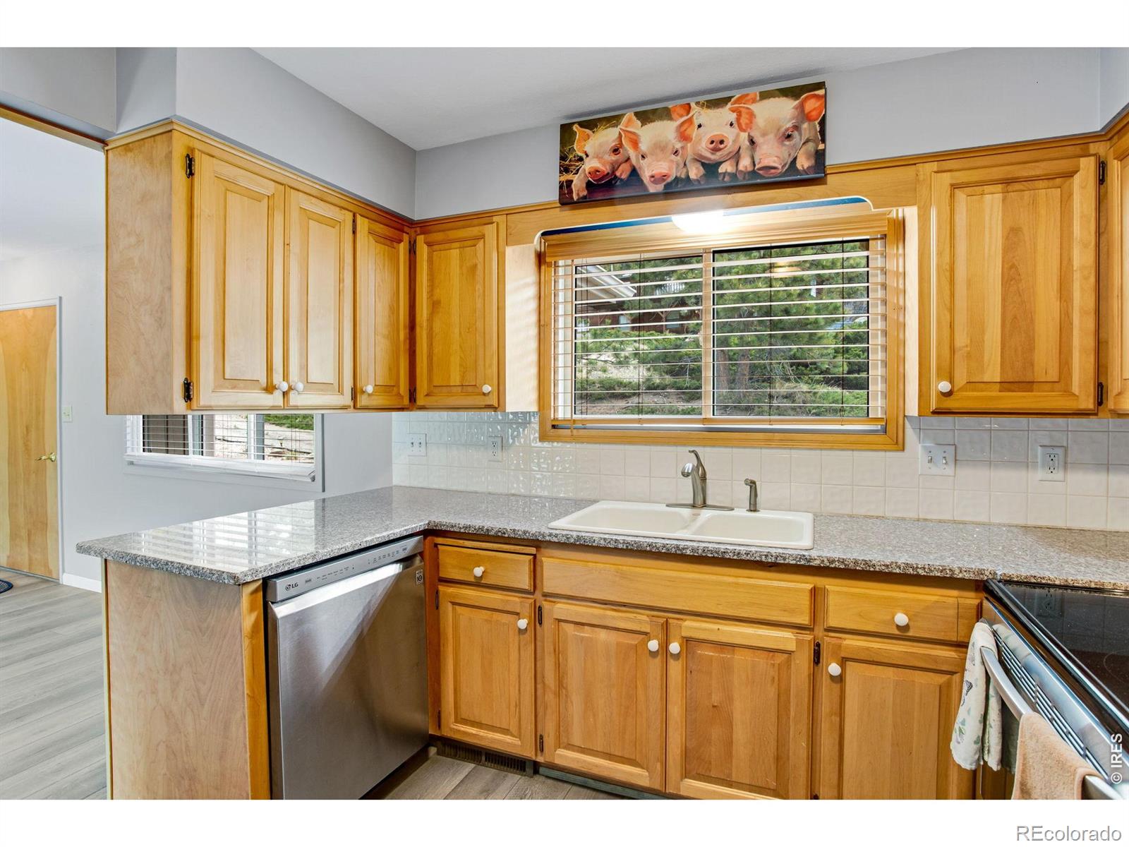108 Meadowview Drive Estes Park CO 80517