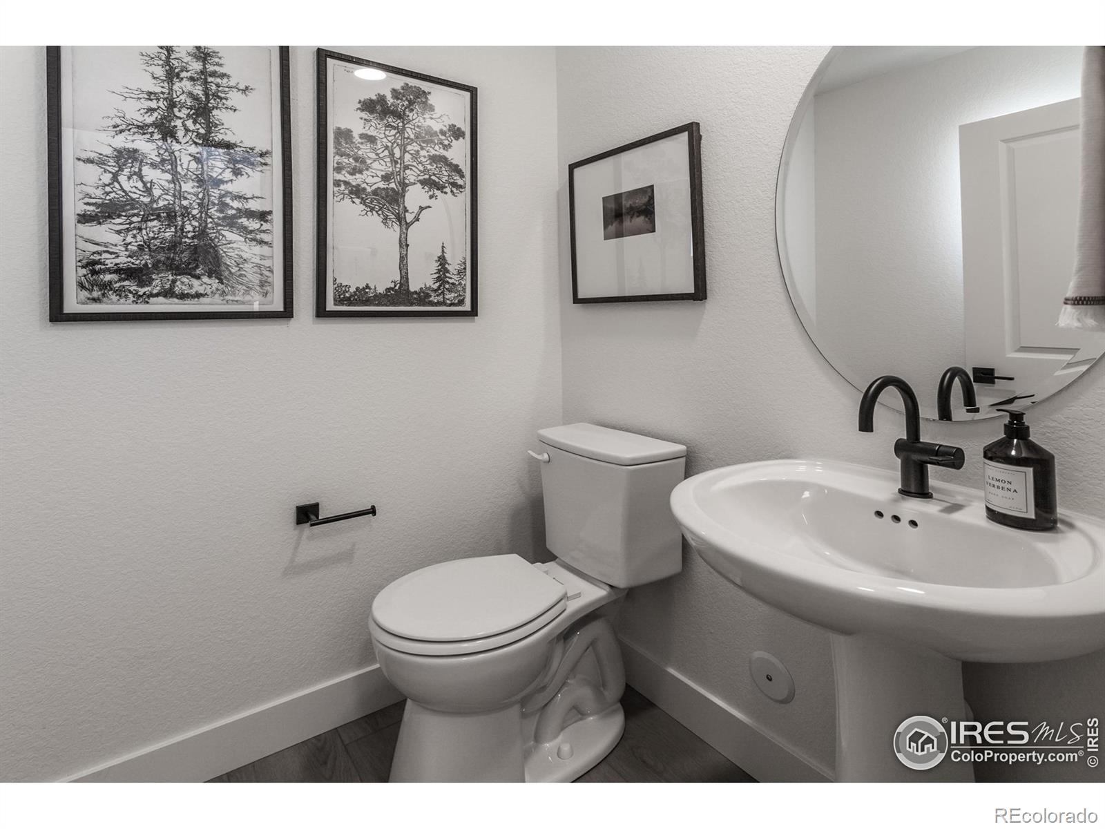 975 Trumpet Lane Windsor CO 80550
