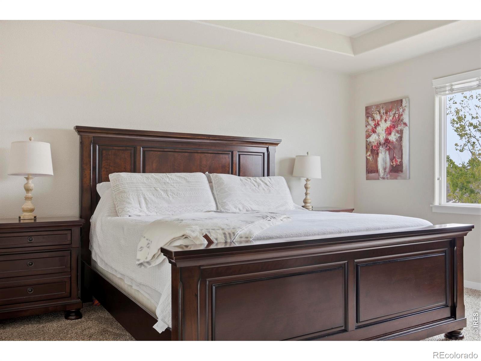 6987 Meade Street Wellington CO 80549