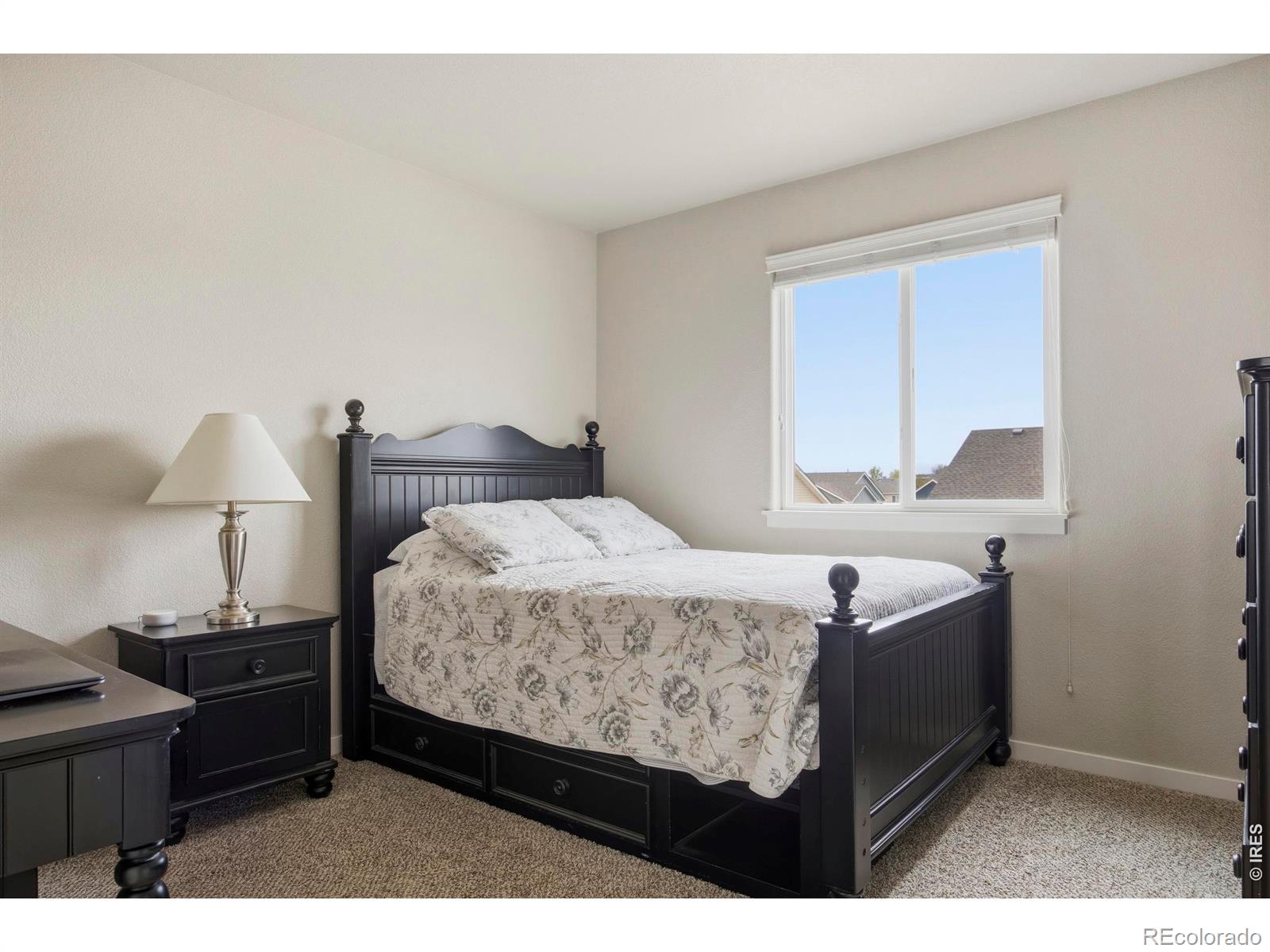 6987 Meade Street Wellington CO 80549