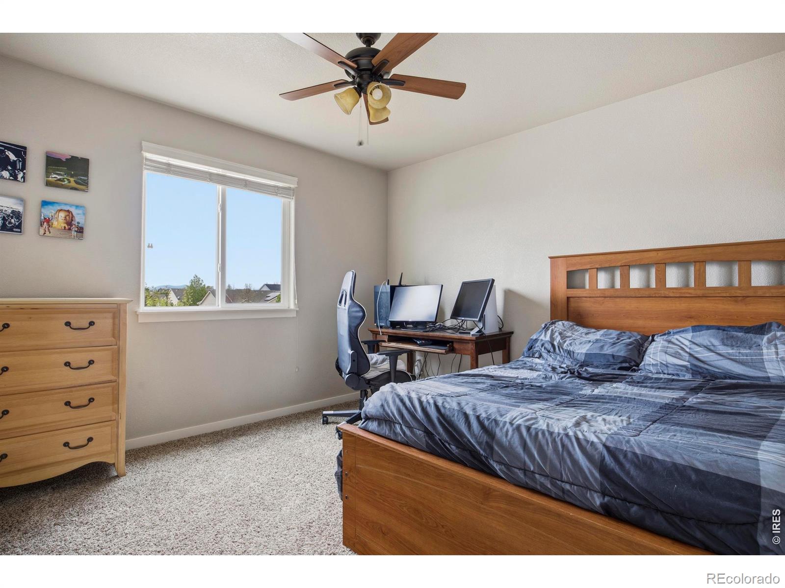 6987 Meade Street Wellington CO 80549
