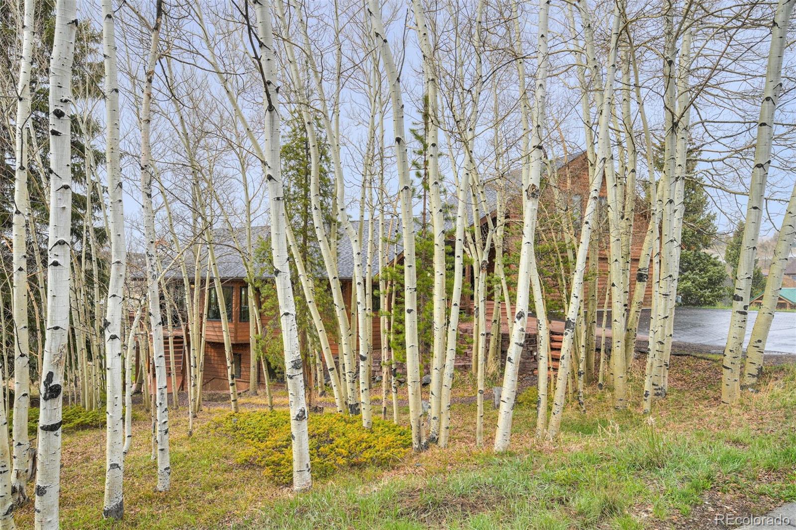 324 W Buffalo Street Dillon CO 80435