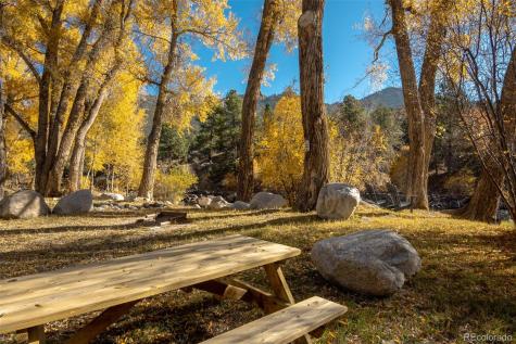 100 River Run Drive Buena Vista CO 81211