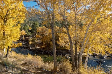 100 River Run Drive Buena Vista CO 81211