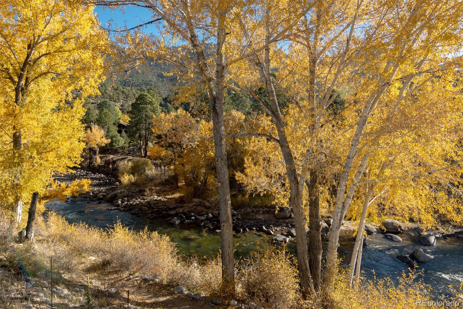 100 River Run Drive Buena Vista CO 81211