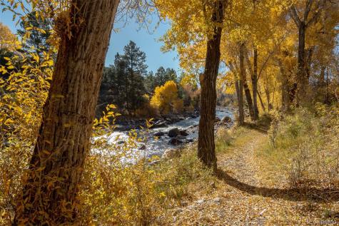 100 River Run Drive Buena Vista CO 81211