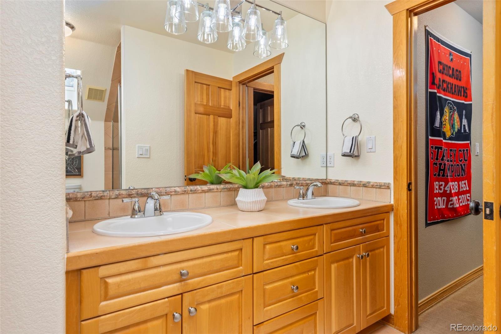 7457 Gooseberry Court Parker CO 80134