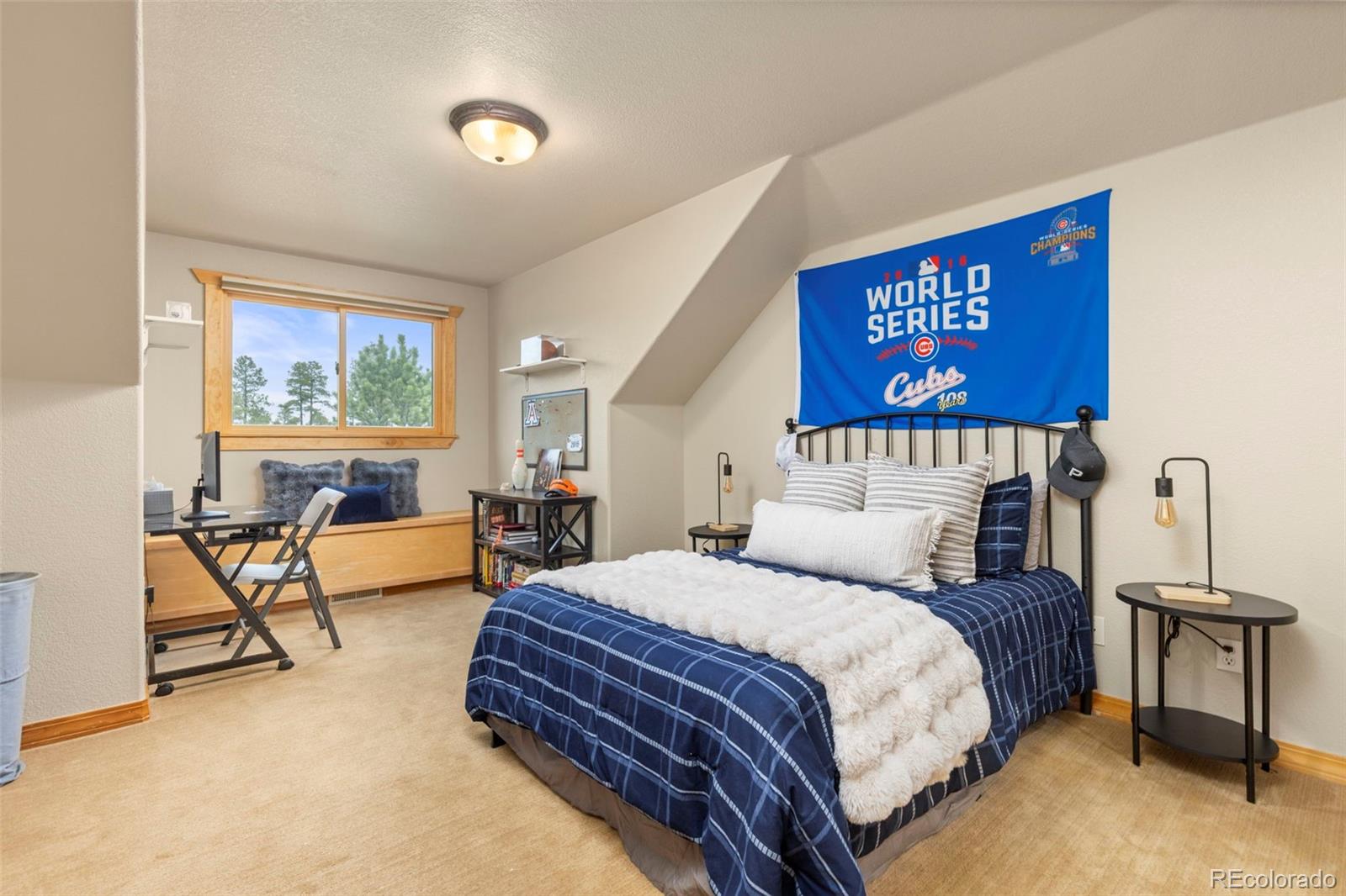 7457 Gooseberry Court Parker CO 80134