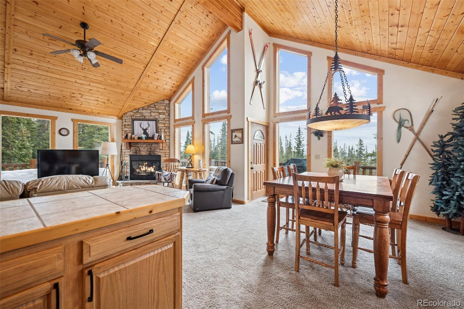 585 Miners Way Fairplay CO 80440