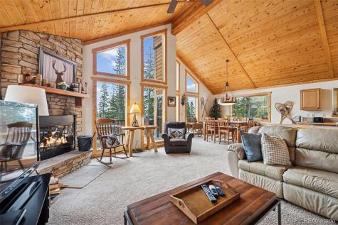 585 Miners Way Fairplay CO 80440