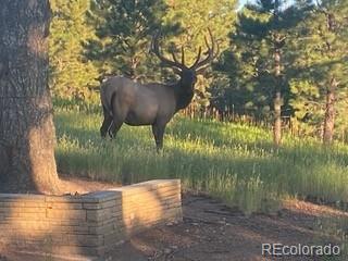21967 Mountsfield Drive Golden CO 80401