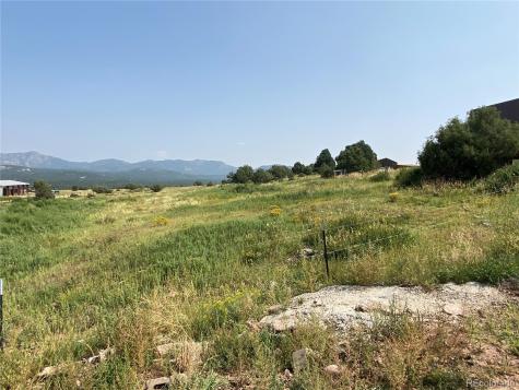 271 County Road 33 Cotopaxi CO 81223