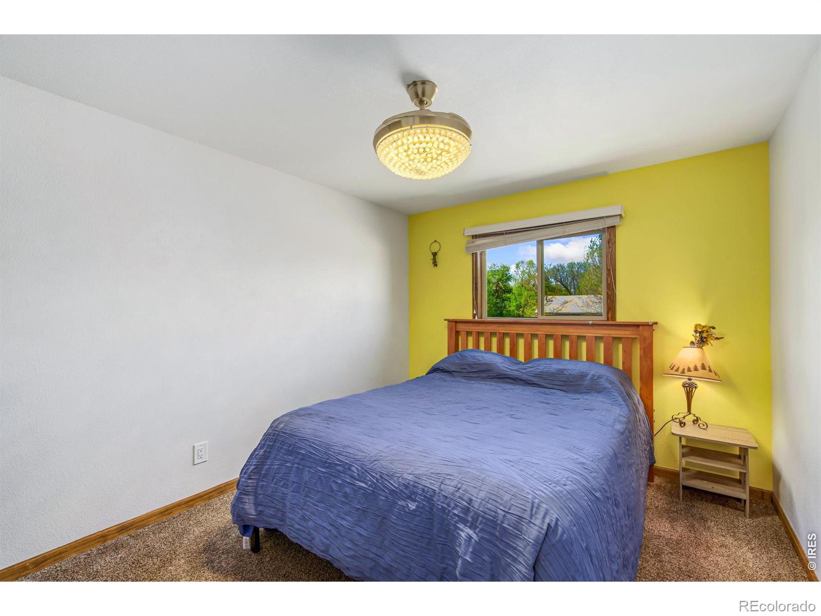 343 Hawthorn Drive Loveland CO 80538