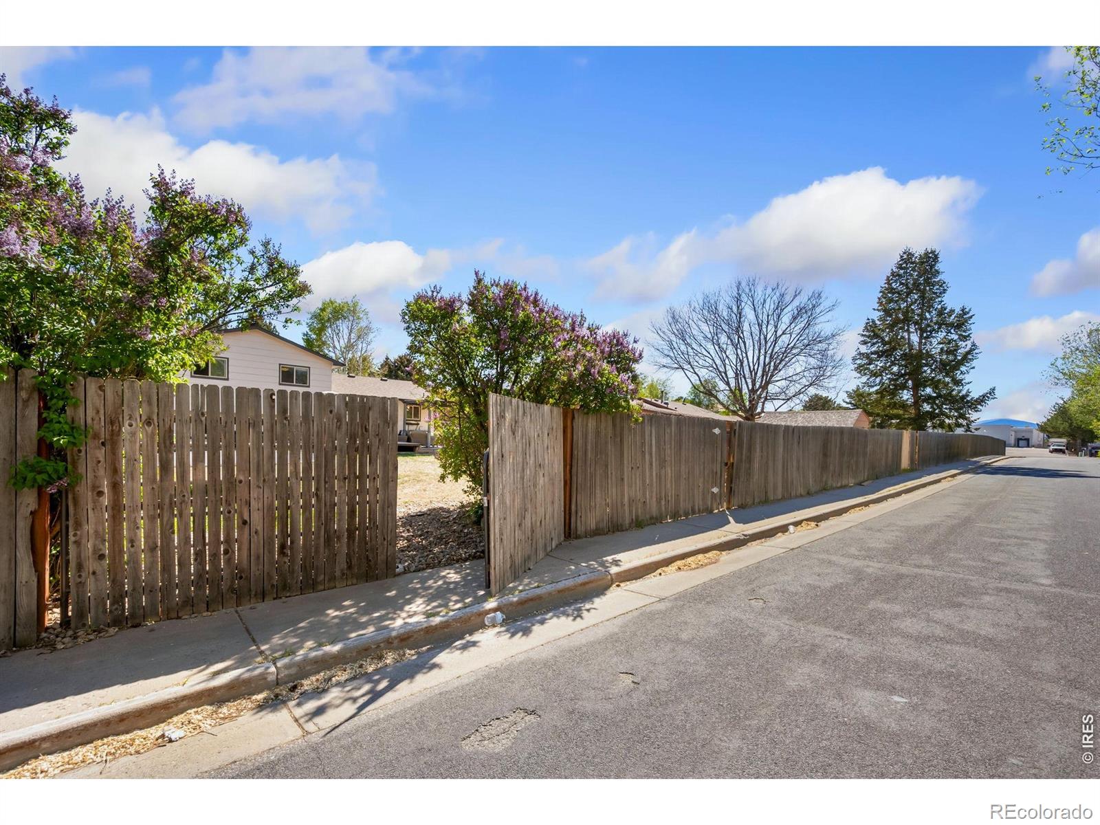 343 Hawthorn Drive Loveland CO 80538