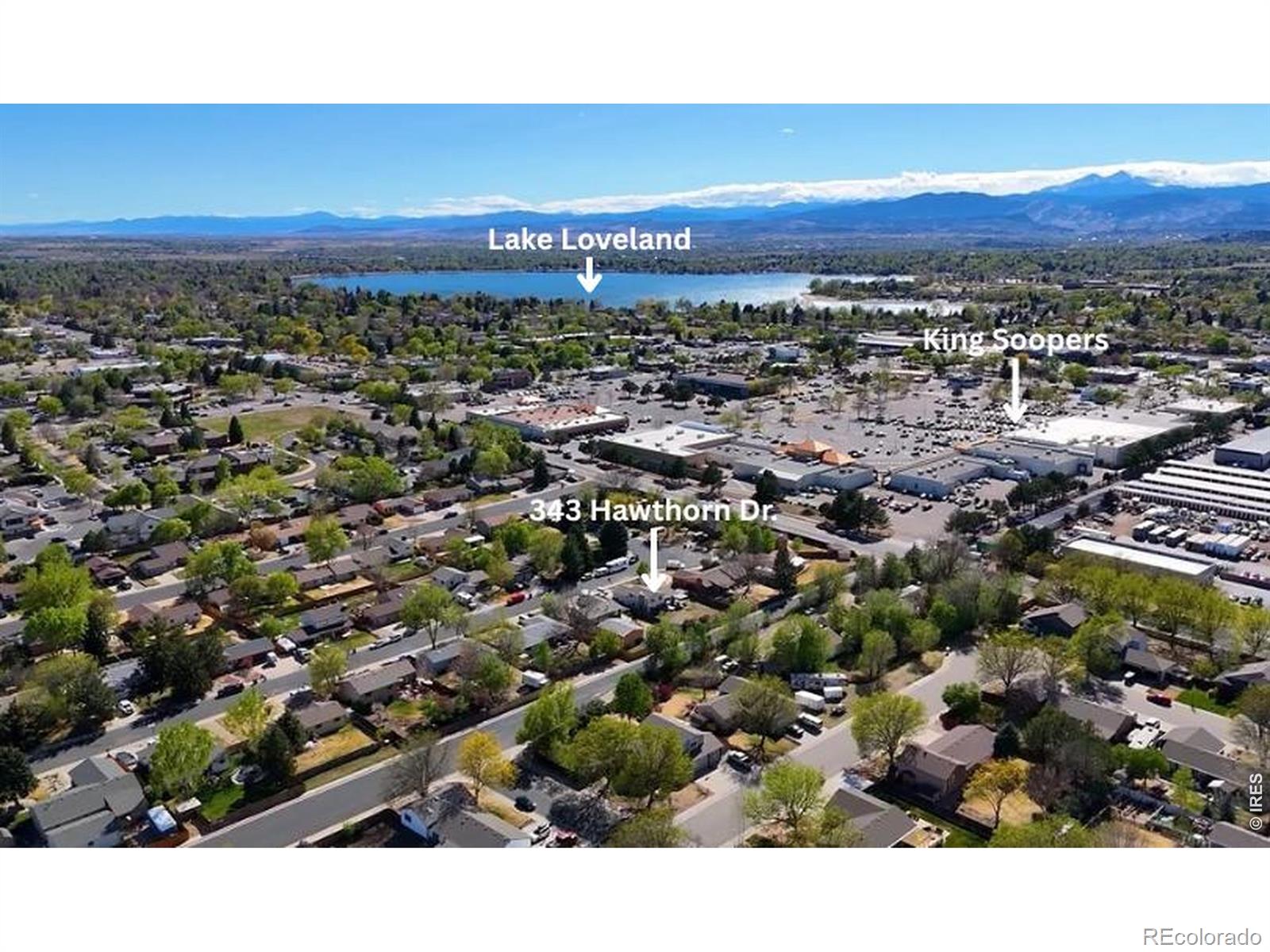 343 Hawthorn Drive Loveland CO 80538