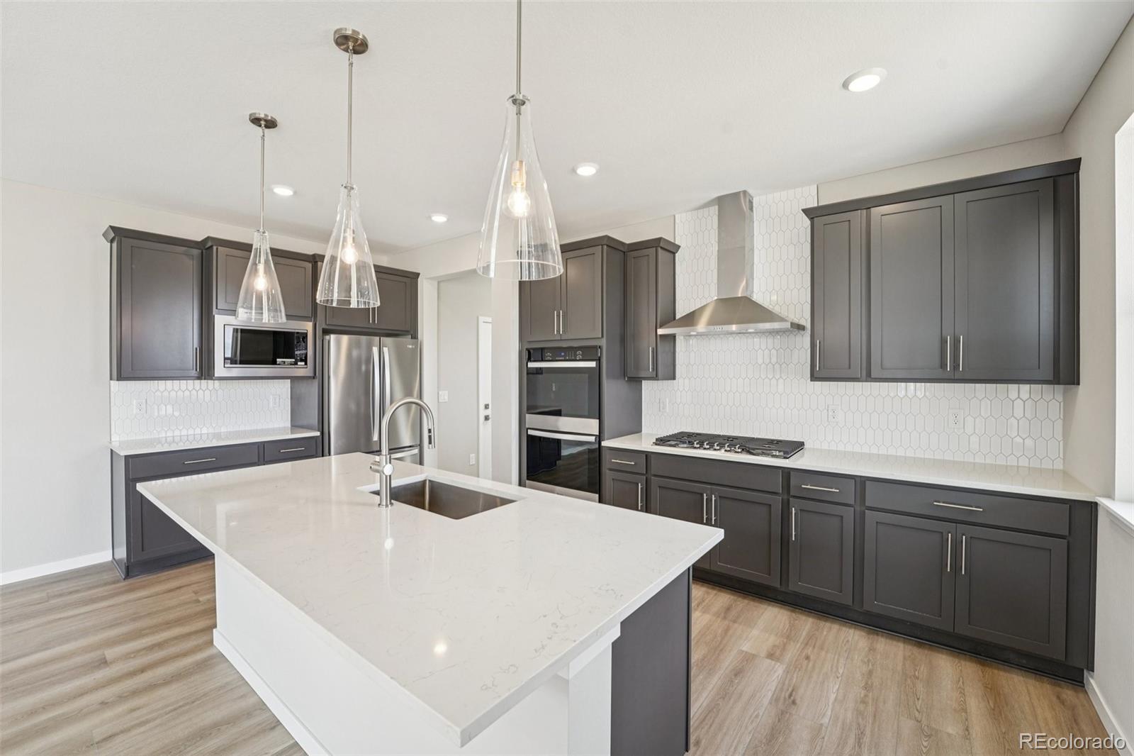 13823 Daffodil Way Parker CO 80134