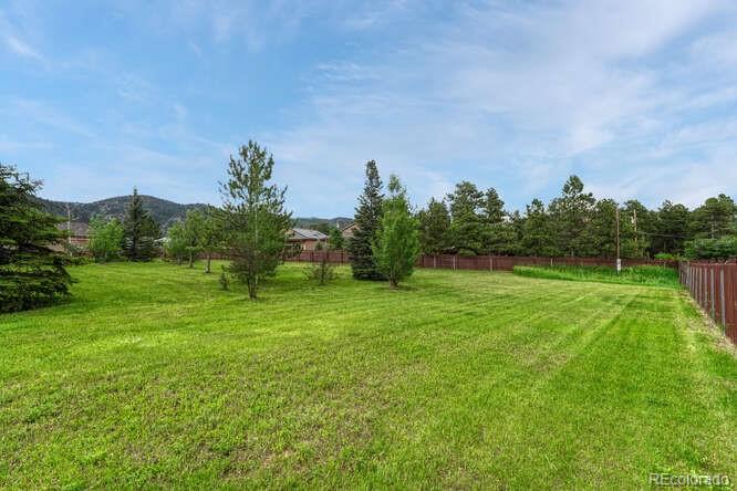 745 Platt Lane Palmer Lake CO 80133