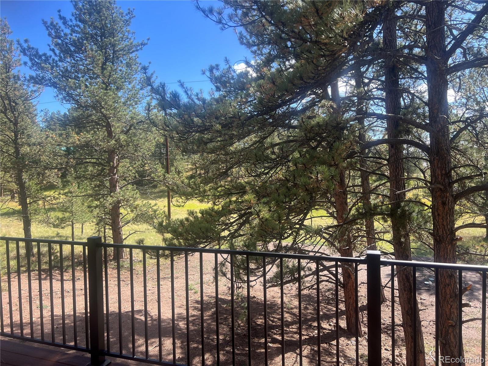 240 N Mountain Estates Road Florissant CO 80816