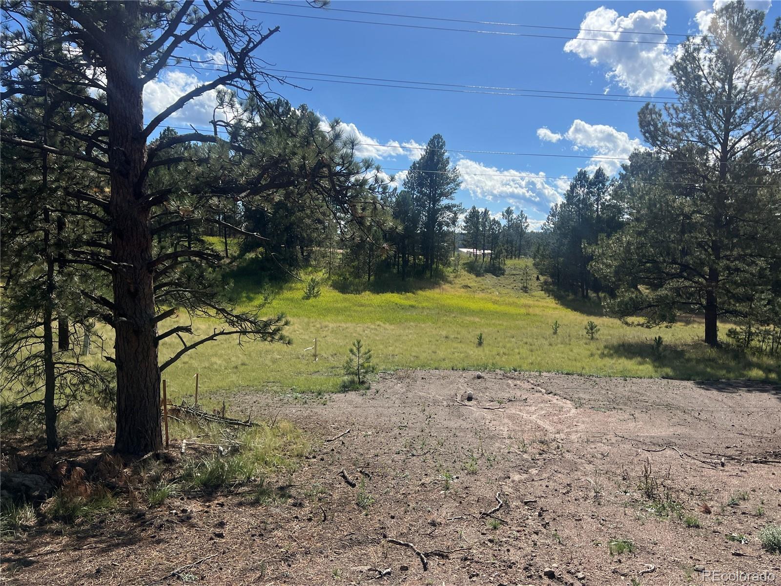 240 N Mountain Estates Road Florissant CO 80816