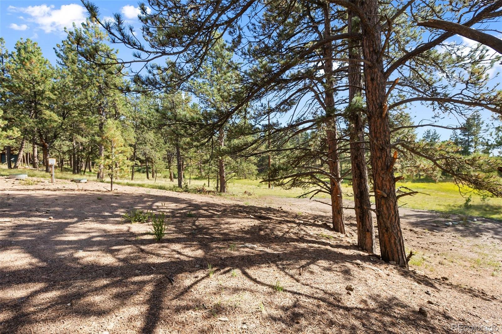 240 N Mountain Estates Road Florissant CO 80816