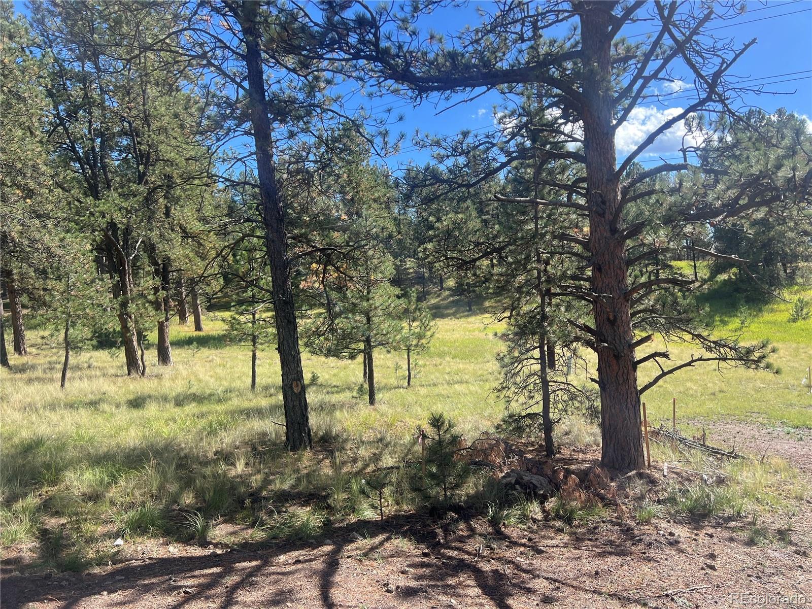 240 N Mountain Estates Road Florissant CO 80816