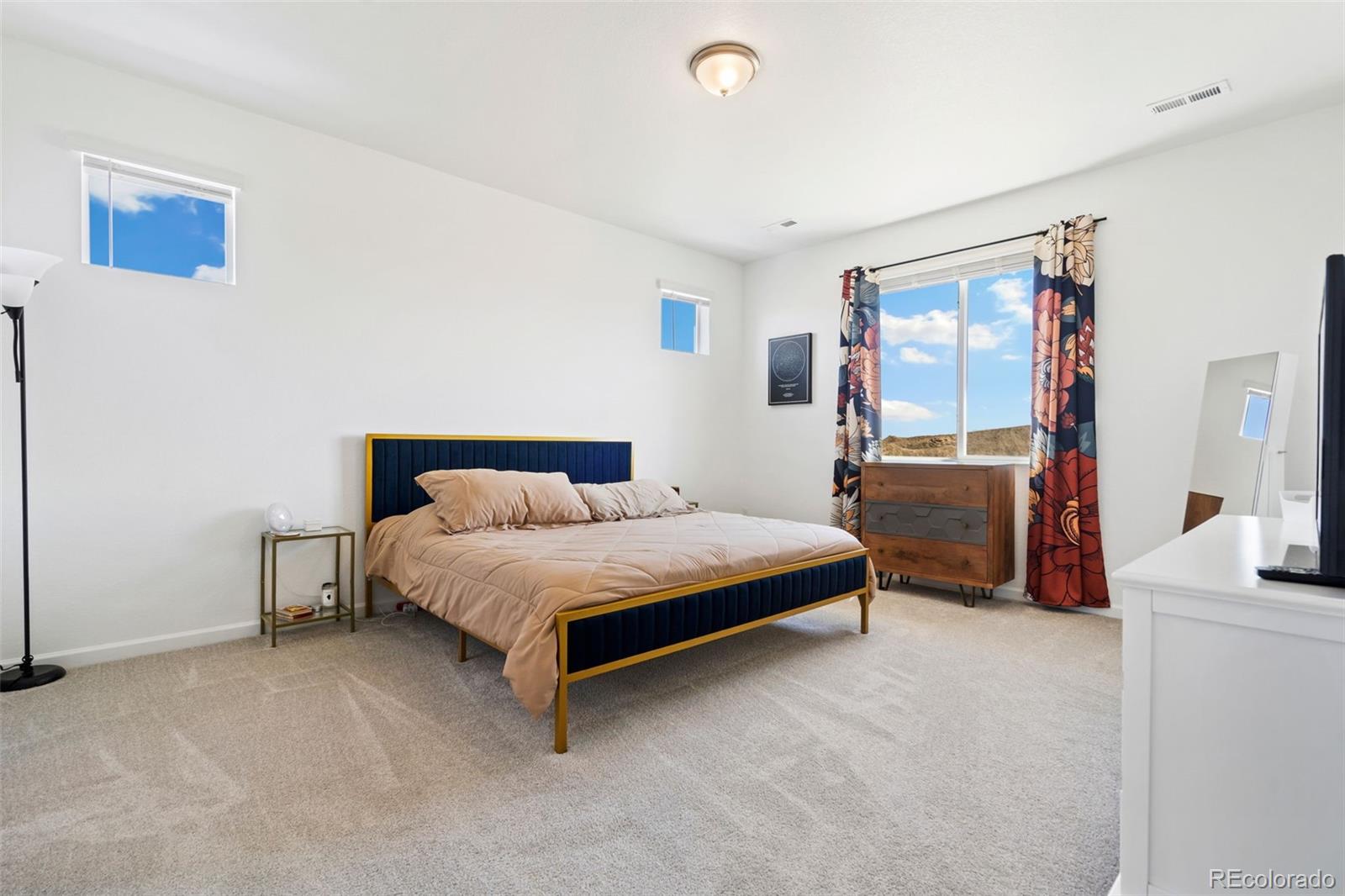 2486 White Pelican Avenue Loveland CO 80538