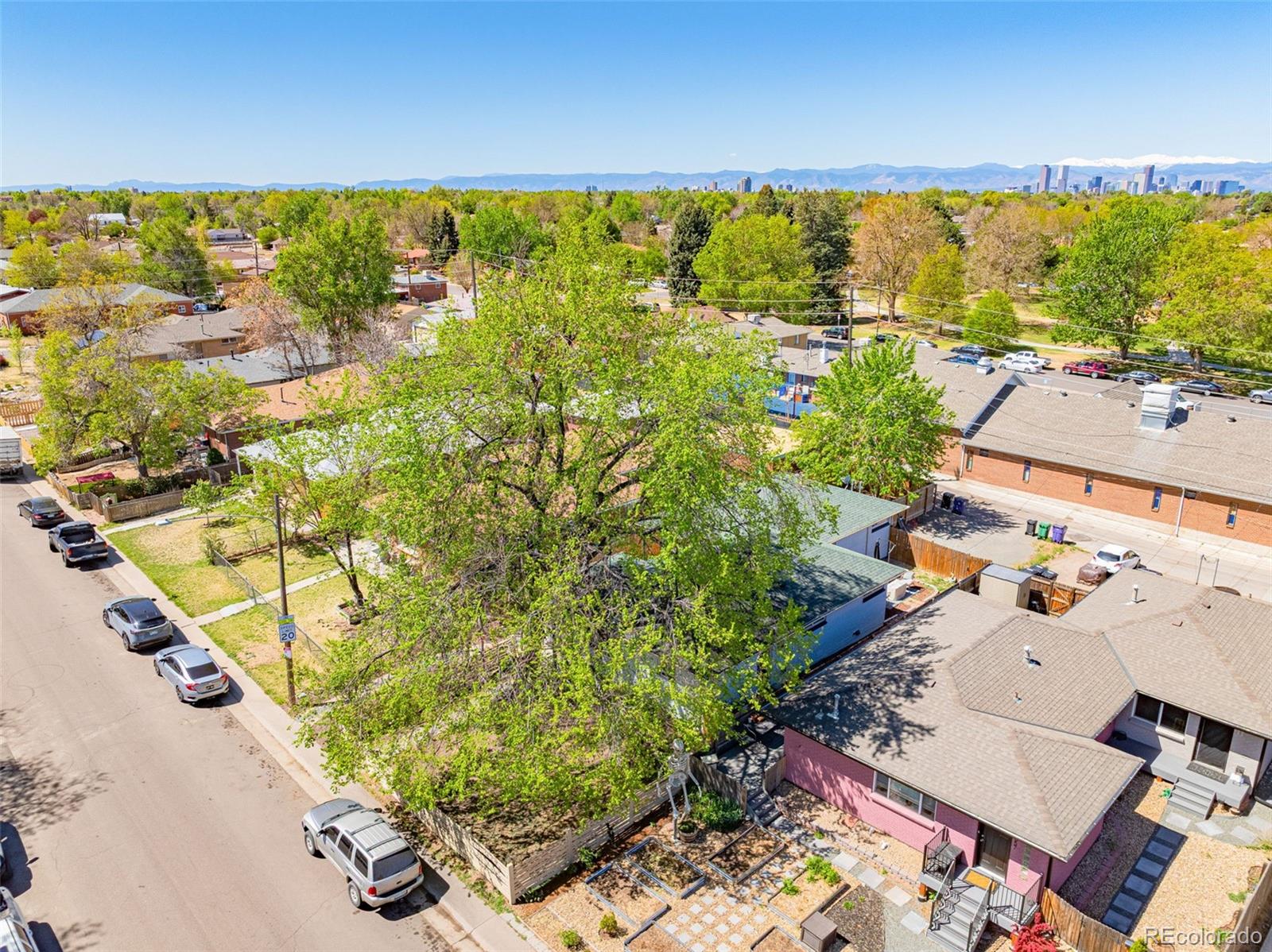 3351 Jasmine Street Denver CO 80207