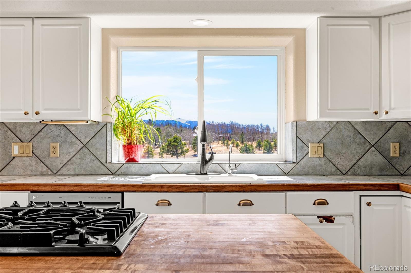 78 Moss Rock Drive Divide CO 80814